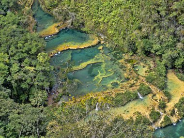 Güzel cascade, Semuc champey, Guatemala, üstten görünüm.