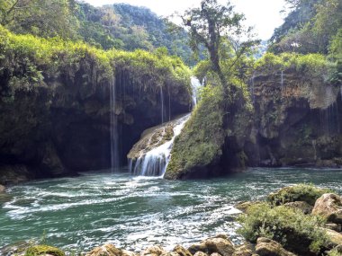 the  Cahabon River, forms numerous cascades, Semuc champey, Guatemala. clipart