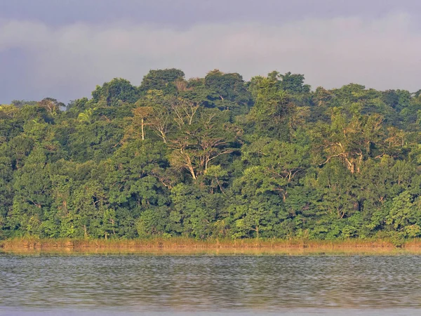 拉古纳·拉丘亚位于危地马拉森林中央 — 图库照片