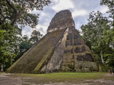 Piramitleri ülkenin en önemli Maya şehir Tikal Park, Guatemala