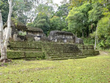 Piramitleri ülkenin en önemli Maya şehir Tikal Park, Guatemala