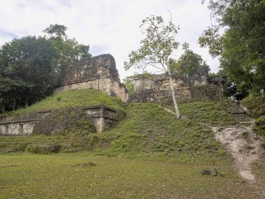 Piramitleri ülkenin en önemli Maya şehir Tikal Park, Guatemala