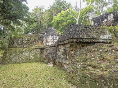Piramitleri ülkenin en önemli Maya şehir Tikal Park, Guatemala