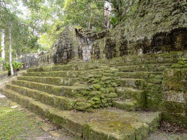 Piramitleri ülkenin en önemli Maya şehir Tikal Park, Guatemala