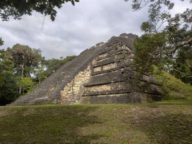 Piramitleri ülkenin en önemli Maya şehir Tikal Park, Guatemala