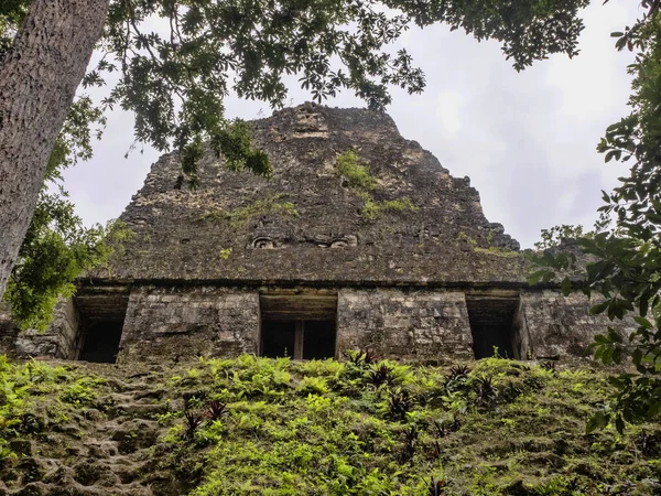 寺院数 54of グアテマラのティカル公園の国家の最も重要なマヤの都市 — ストック写真