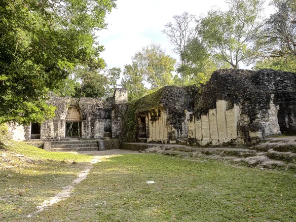 Pyramides dans la ville maya la plus importante de la nation de Tikal Park, Guatemala — Photo