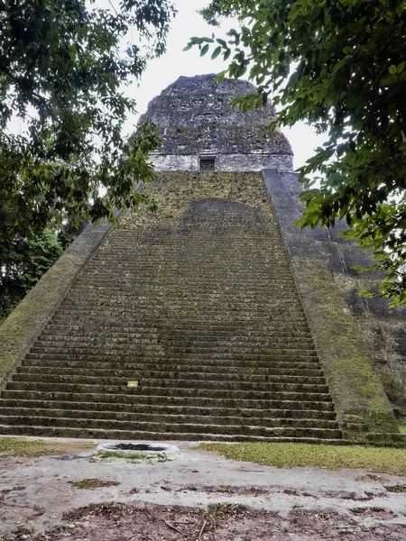 Pyramides dans la ville maya la plus importante de la nation de Tikal Park, Guatemala — Photo