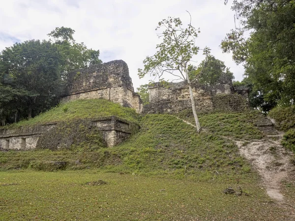 Pyramides dans la ville maya la plus importante de la nation de Tikal Park, Guatemala — Photo