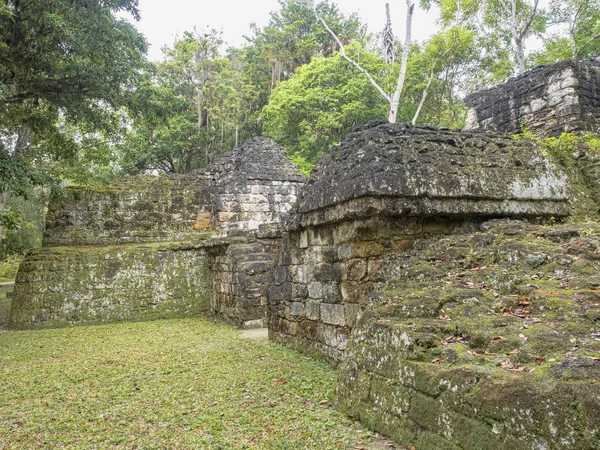 Piramidi nella città Maya più importante della nazione di Tikal Park, Guatemala — Foto Stock
