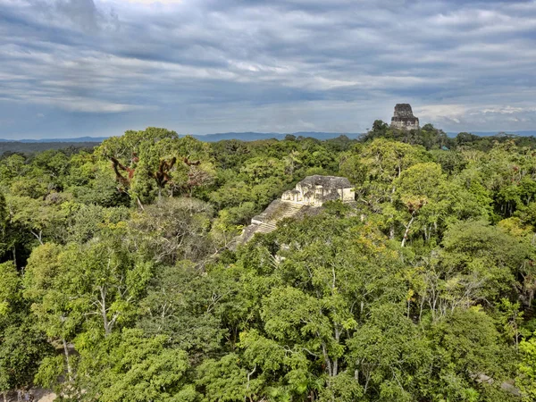 En vy från pyramid höjd gömd i en tät skog. Landets mest betydande Maya staden Tikal Park, Guatemala — Stockfoto