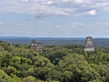 Yoğun bir orman içinde gizli bir piramidin yüksekliği bir manzara. Ülkenin en önemli Maya şehir Tikal Park, Guatemala