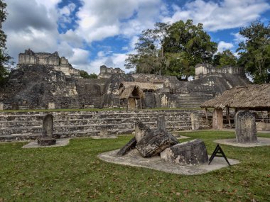 Piramitleri ülkenin en önemli Maya şehir Tikal Park, Guatemala