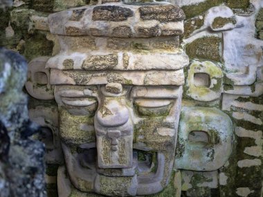 Taş eserler Tikal Park, Guatemala Maya ülkenin en önemli Maya kenti