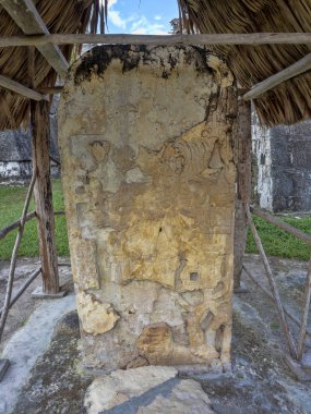 Taş eserler Tikal Park, Guatemala Maya ülkenin en önemli Maya kenti
