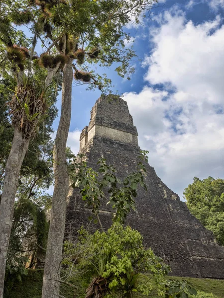 Pyramiderna i landets mest betydande Maya staden Tikal Park, Guatemala — Stockfoto