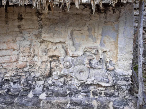 Tikal 공원, 과테말라의 마 야 민족의 가장 중요 한 마 야 도시의 돌 유물 — 스톡 사진