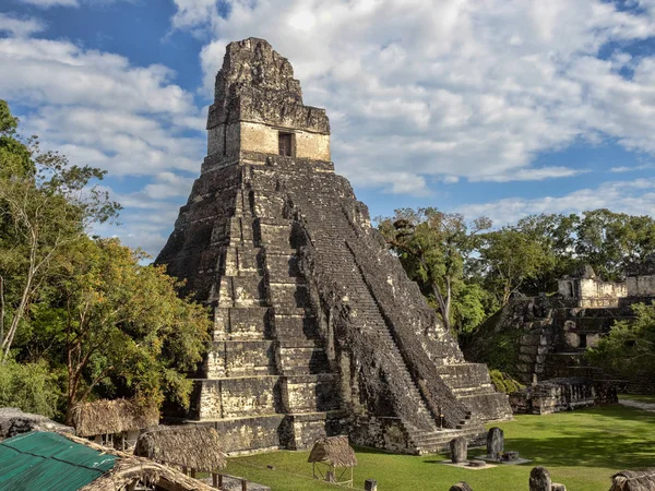 Jaguar Tikal Park, Guatemala Ulusal en önemli Maya şehrinde Piramidi — Stok fotoğraf