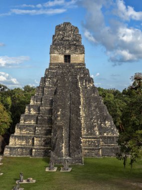 Jaguar Tikal Park, Guatemala Ulusal en önemli Maya şehrinde Piramidi