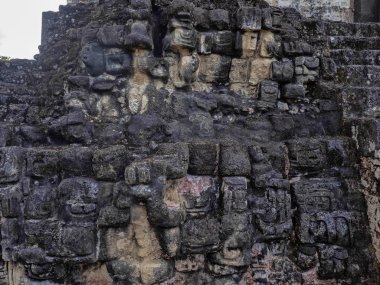 Taş eserler Tikal Park, Guatemala Maya ülkenin en önemli Maya kenti