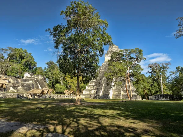 Jaguar Tikal Park, Guatemala Ulusal en önemli Maya şehrinde Piramidi