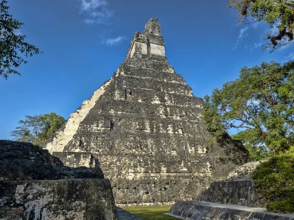 Jaguar Tikal Park, Guatemala Ulusal en önemli Maya şehrinde Piramidi