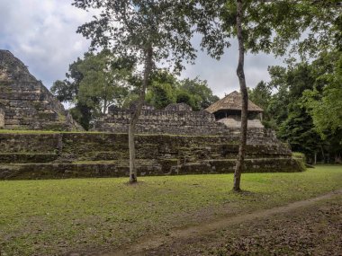 Yaxha Nakum Naranjo Milli Parkı, Maya arkeolojik anıt, Guatemala