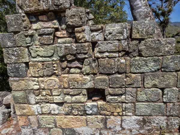 Copán sitio arqueológico de la civilización maya, no muy lejos de la frontera con Guatemala. Fue la capital del período principal del reino clásico desde el siglo V hasta el siglo IX dC. . — Foto de Stock