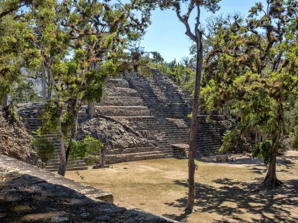 Copan archaeological site of Mayan civilization, not far from the border with Guatemala. It was the capital of the main classical kingdom period from the 5th to the 9th century AD. — Stock Photo, Image
