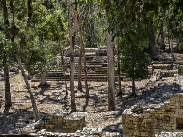 Sito archeologico copano di civiltà maya, non lontano dal confine con il Guatemala. Fu la capitale del principale periodo del regno classico dal V al IX secolo d.C. . — Foto Stock