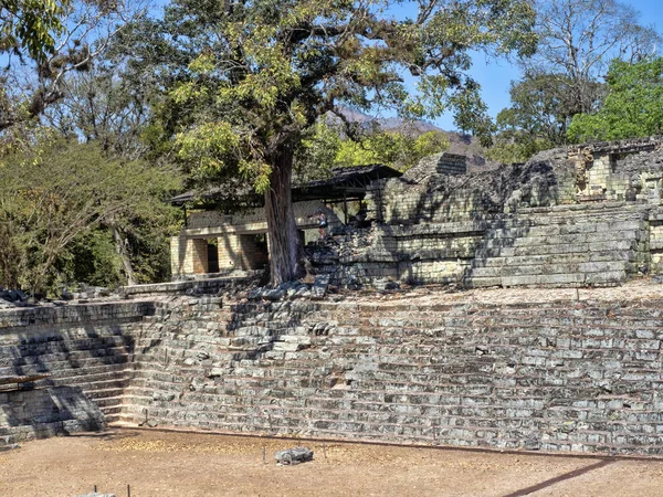 Copan arkeologiska platsen av Maya civilisationen, inte långt från gränsen mot Guatemala. Det var huvudstad i främsta klassiska kungariket perioden från 5 till den 9: e århundradet. — Stockfoto