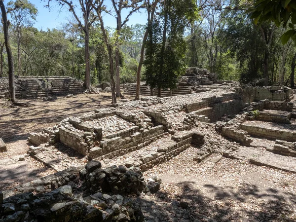 Site archéologique copan de la civilisation maya, non loin de la frontière avec le Guatemala. C'était la capitale de la principale période du royaume classique du 5ème au 9ème siècle après JC . — Photo