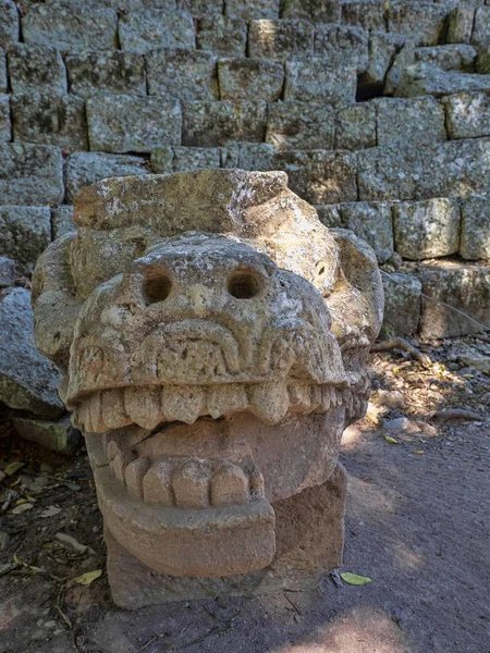 玛雅文明的科潘考古遗址, 离危地马拉边境不远。它是5世纪至9世纪主要古典王国时期的首都. — 图库照片