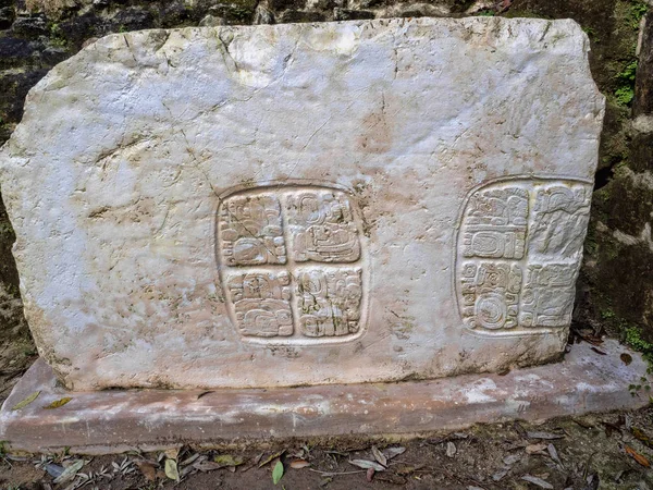 Dettagli delle scene Maya incise nella pietra. Sito archeologico, Xunantunich, Belize — Foto Stock
