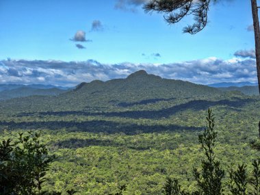 Yukarıdan Cockscob Havzası yaban hayatı kutsal Belize görüntülemek