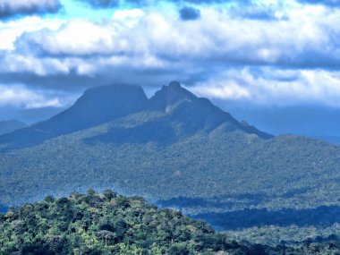 Victoria peak, Belize'nın en yüksek dağı manzarası