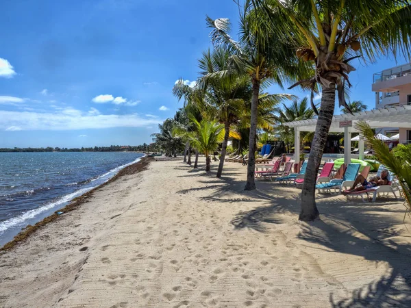Strand in Placencia Caribische zee, Belize — Stockfoto