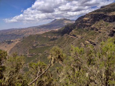 Etiyopya Simien Dağları Milli Parkı'nda güzel dağ sırası