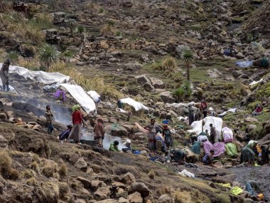Aborijinler, Etiyopya'daki Simien Dağları Milli Parkı'ndaki bir derede giysilerini yıkıyor.