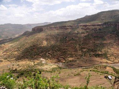 Etiyopya'nın yamaçlarında teraslı alanlar