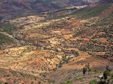 Etiyopya'nın yamaçlarında teraslı alanlar