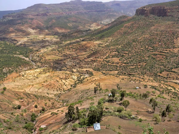 エチオピアの斜面のテラスフィールド — ストック写真