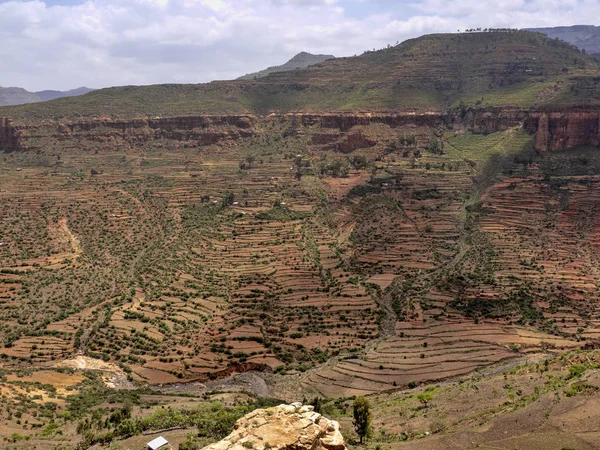 Campi terrazzati sulle pendici dell'Etiopia — Foto Stock