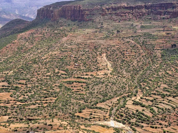 Campi terrazzati sulle pendici dell'Etiopia — Foto Stock