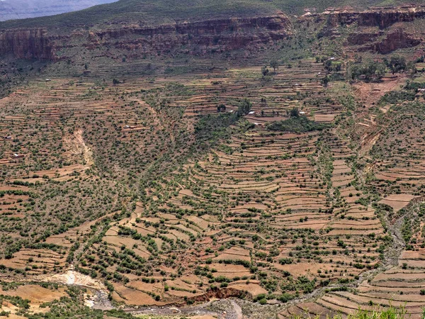 Champs en terrasses sur les pentes de l'Ethiopie — Photo