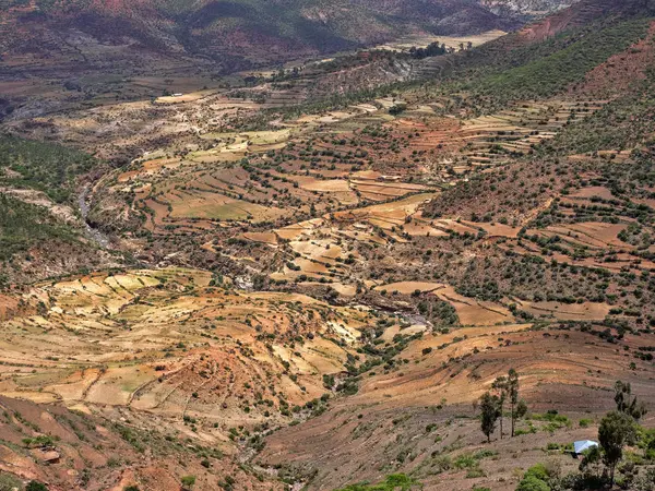 Champs en terrasses sur les pentes de l'Ethiopie — Photo