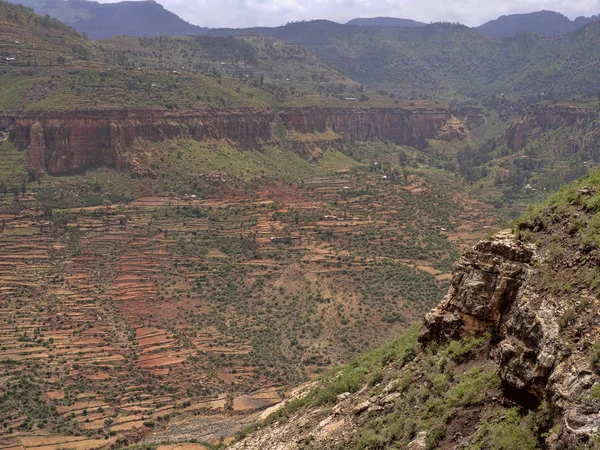 エチオピアの斜面のテラスフィールド — ストック写真