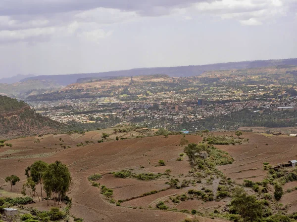 Terasovité pole na svazích Etiopie — Stock fotografie