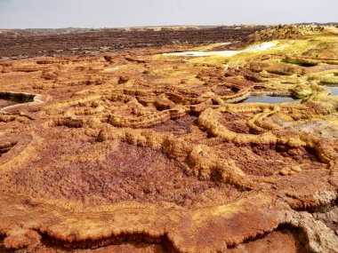 Danakil depresyonundaki tuz kristalleri inanılmaz çeşitlilikte renkler oluşturur. Etiyopya