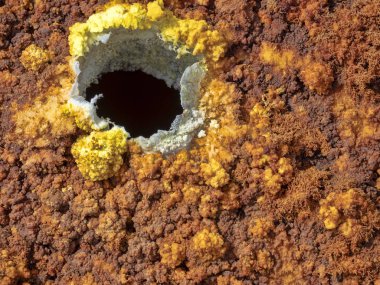 Çeşitli fumaroles Danakilian depresyon, buhar ortaya çıkar ve su dışarı akar. Etiyopya